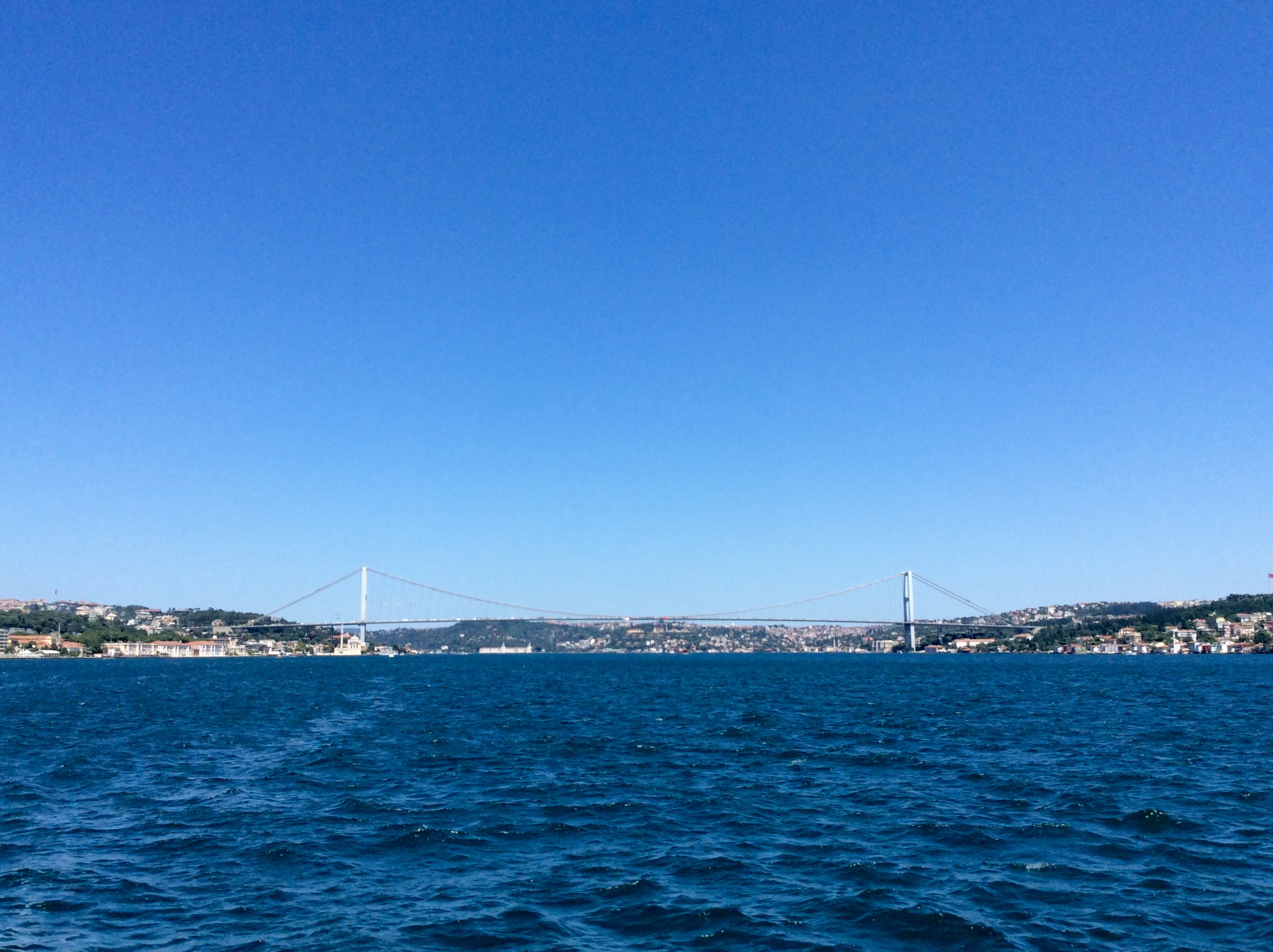 15.07.20_18.12.50/4.jpg