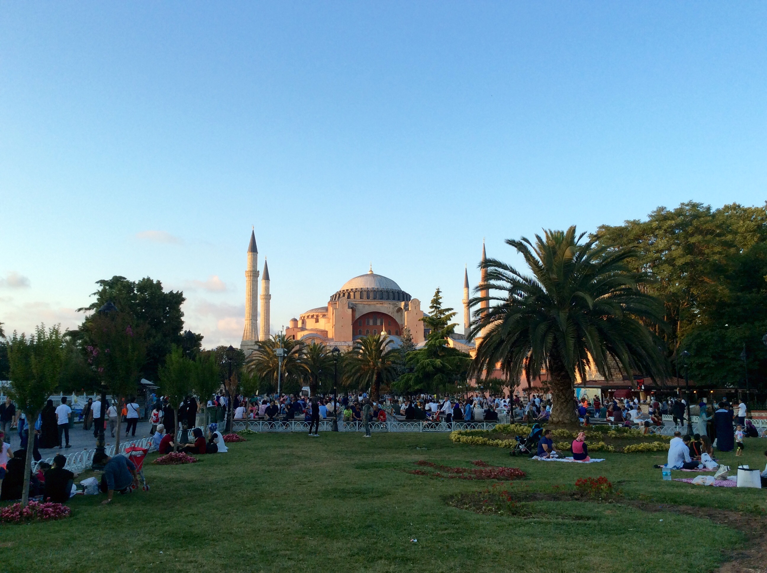 15.07.20_18.12.50/6.jpg